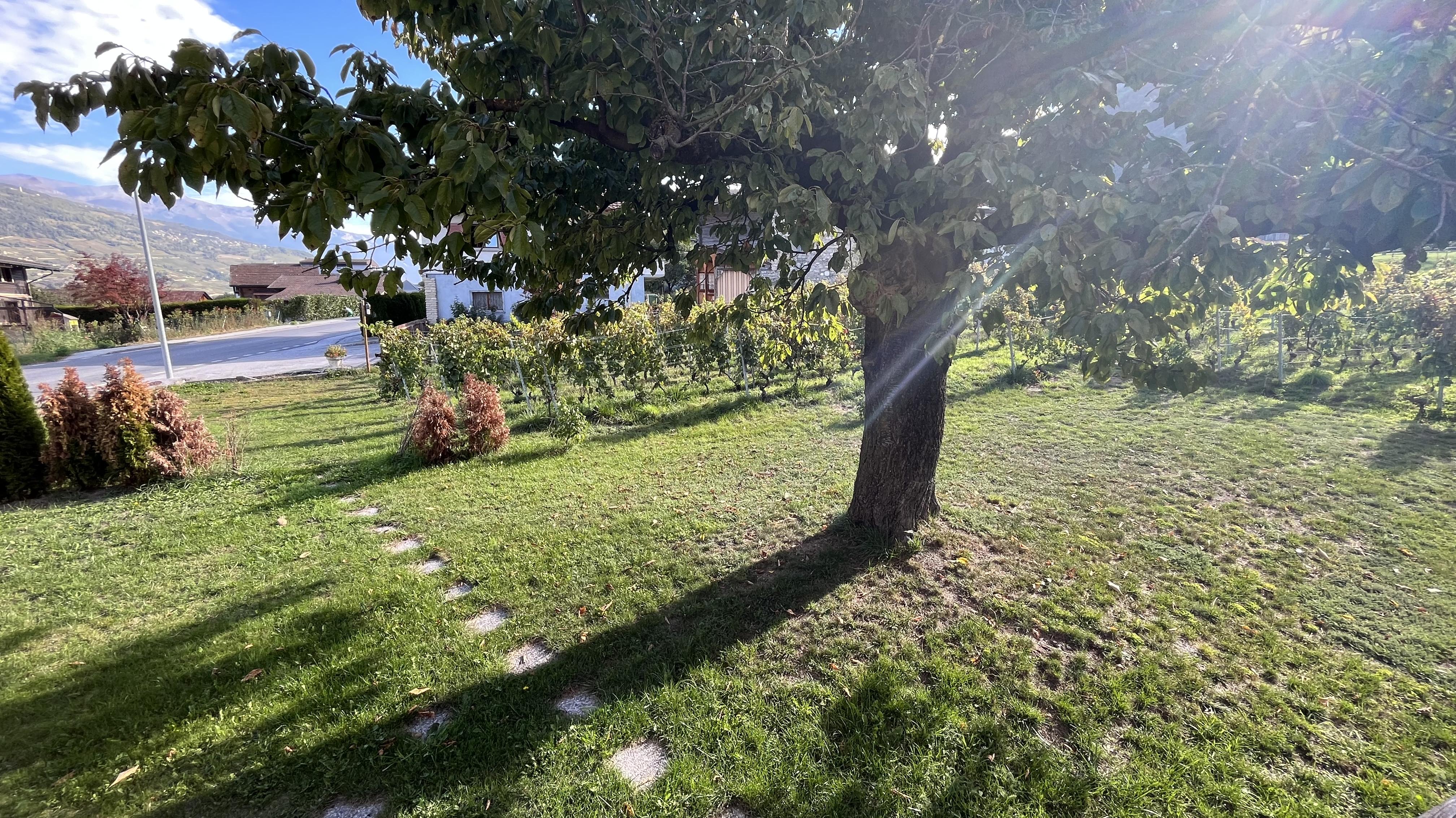 A vendre 3979 Grne Maison terrasse 6.5 pièce(s)
