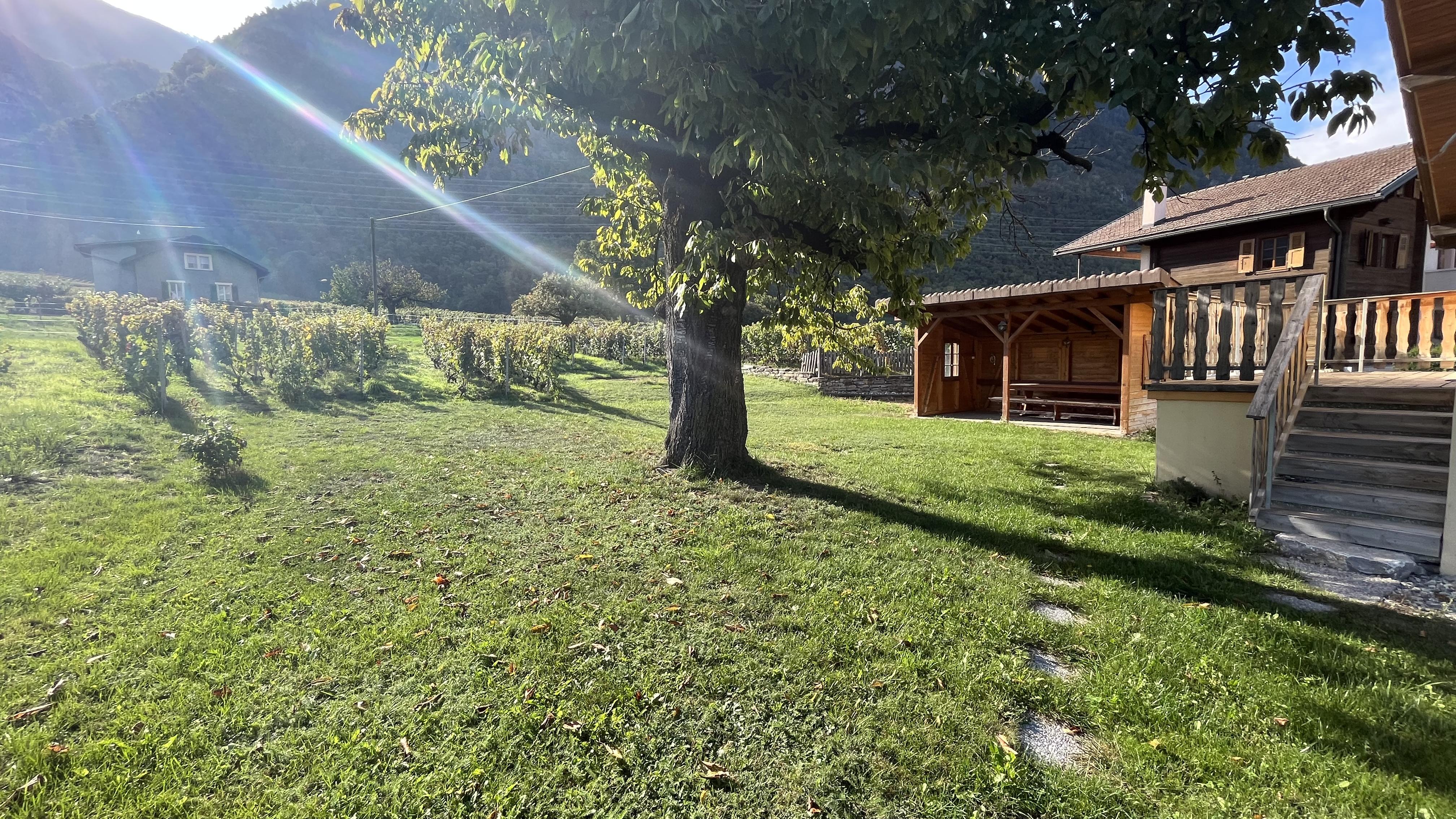 A vendre 3979 Grne Maison terrasse 6.5 pièce(s)