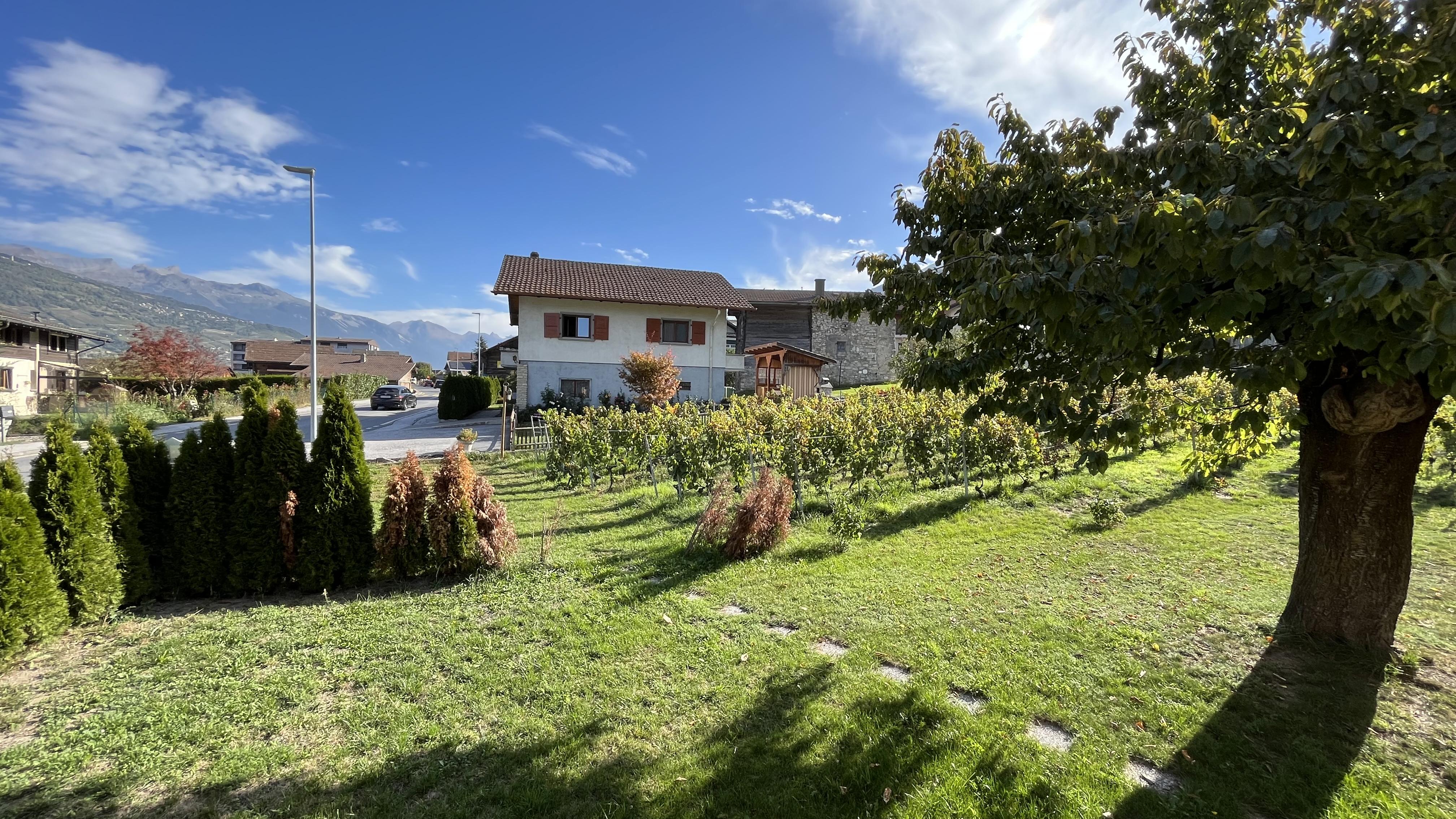 A vendre 3979 Grne Maison terrasse 6.5 pièce(s)